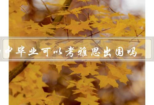 初中毕业可以考雅思出国吗，是否具备考能力／优势／挑战