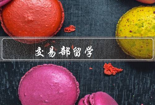 交易部留学中心，留学规划、申请指导、文化交流