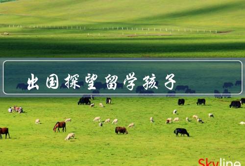 出国探望留学孩子，思念如潮水般涌来、心系家人的关怀之旅
