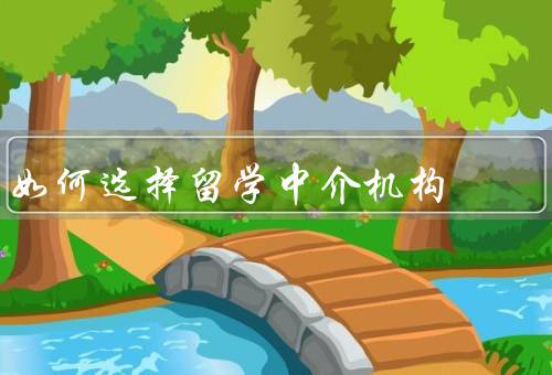 如何选择留学中介机构（信誉和口碑／专业性和经验／服务内容和质量）