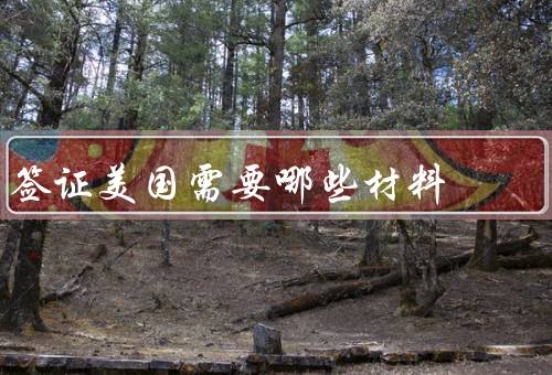 签证美国需要哪些材料，申请表／护照／照片