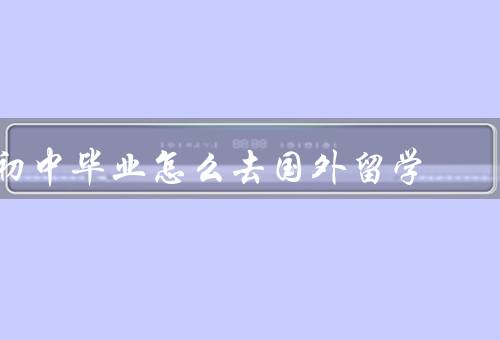 初中毕业怎么去国外留学，选择留学目的地／了解留学要求／学习语言