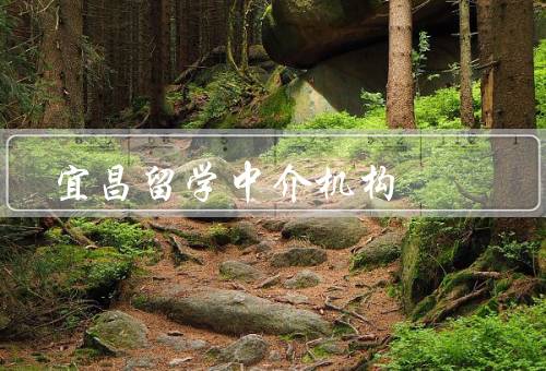 宜昌留学中介机构（发展现状／服务特点／未来发展）