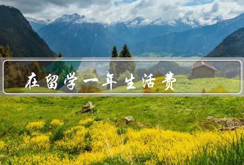 在留学一年生活费