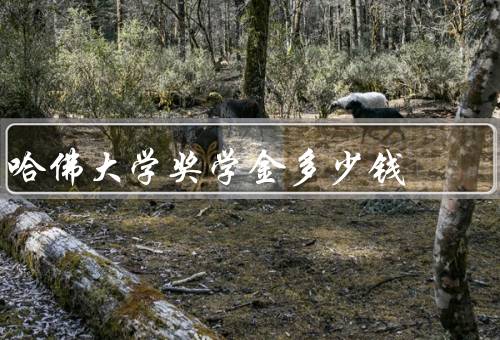 哈佛大学奖学金多少钱（种类／金额／申请）