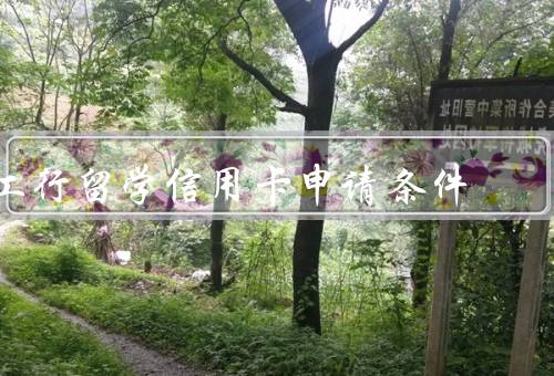 工行留学信用卡申请条件，年龄要求、学生身份、资金担保