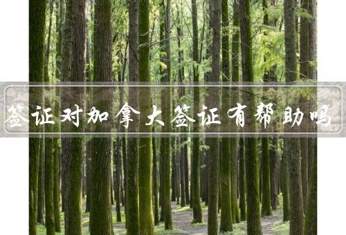 日本签证对加拿大签证有帮助吗（日本签证加速办理）