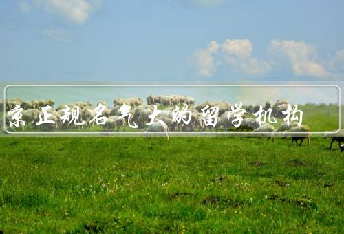 南京正规名气大的留学机构（新东方留学、思远教育、北大青鸟）