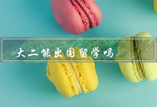 大二能出国留学吗（可行性、优势、注意事项）