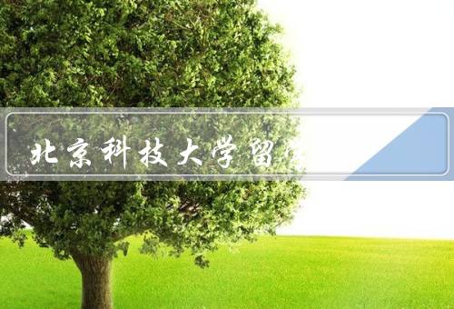 北京科技大学留学生（数量、生活、支持）