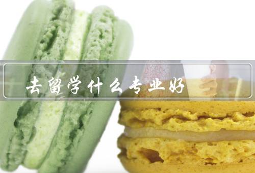 去俄罗斯留学什么专业好，经济学、国际关系、计算机科学