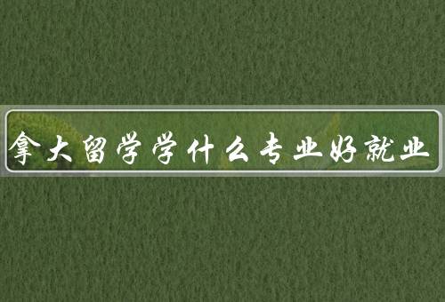 去加拿大留学学什么专业好就业，计算机科学与技术／工程技术