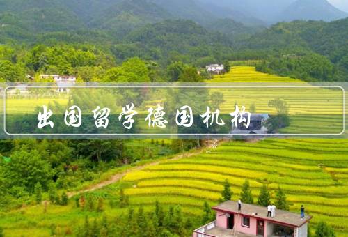 出国留学德国机构，合适、重要作用、注意事项