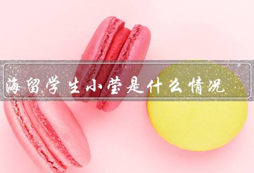 上海留学生小莹是什么情况，学业表现／社团参与／未来展望