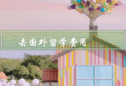 去国外留学费用（构成、如何降低、重要性）