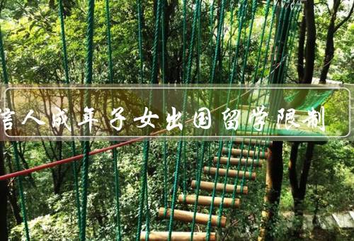 失信人成年子女出国留学限制（必要性／失信人及其家庭的影响）