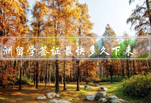 澳洲留学签证最快多久下来，申请材料的准备、签证类型的不同