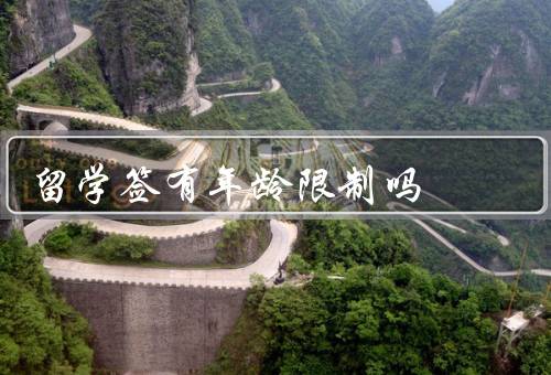 留学签有年龄限制吗，美国留学签证／英国留学签证／加拿大留学签证