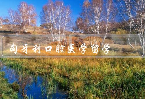 匈牙利口腔医学留学（概况、优势、注意事项）