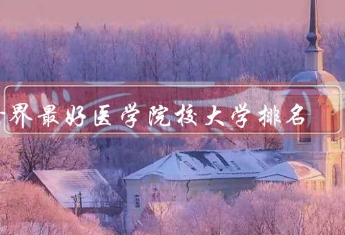 世界最好医学院校大学排名，哈佛医学院／约翰霍普金斯大学医学院