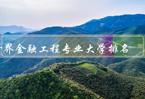 世界金融工程专业大学排名（美国大学的金融工程专业排名）