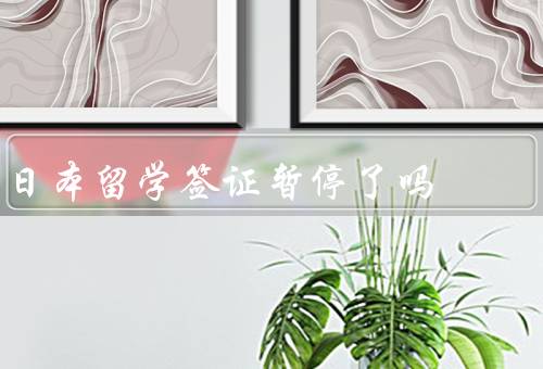 日本留学签证暂停了吗（暂停情况、留学生困境、未来）