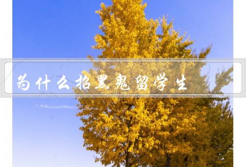 国家为什么招黑鬼留学生（提高国际影响力、推动人文交流）