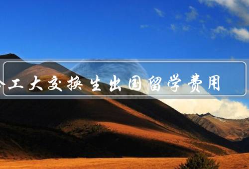 哈工大交换生出国留学费用，出国留学费用的构成