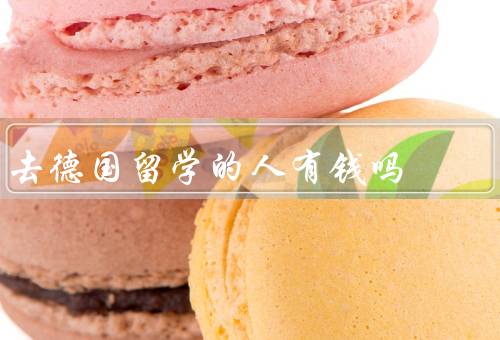 去德国留学的人有钱吗（留学费用、奖学金和助学金）