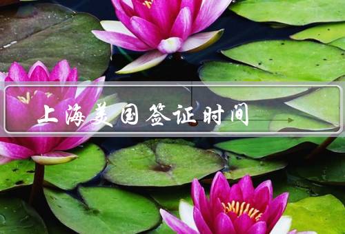 上海美国签证时间（预约时间、面签时间、签证结果）