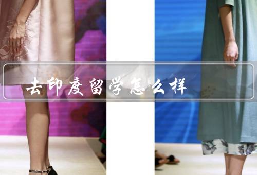 去印度留学怎么样（学习环境、文化体验、职业发展）