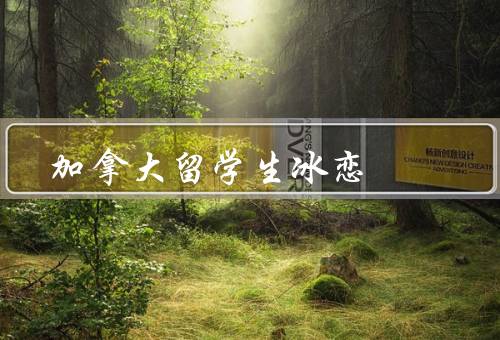 加拿大留学生冰恋，背景／现象／影响