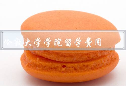 伦敦大学学院留学费用（留学费用、奖学金和助学金、就业和实习机会）