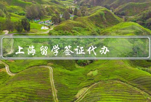 上海留学签证代办（签证机构的选择／流程／优势）