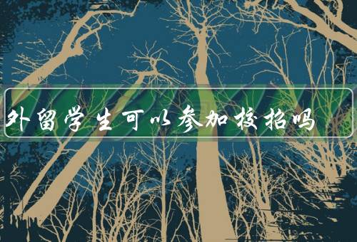 国外留学生可以参加校招吗，留学生背景与校招要求的匹配