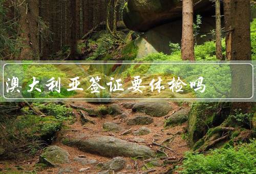 澳大利亚签证要体检吗，要求／费用／结果