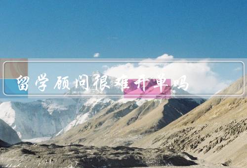 留学顾问很难开单吗，学生选择困难／签证申请繁琐／沟通和理解难度