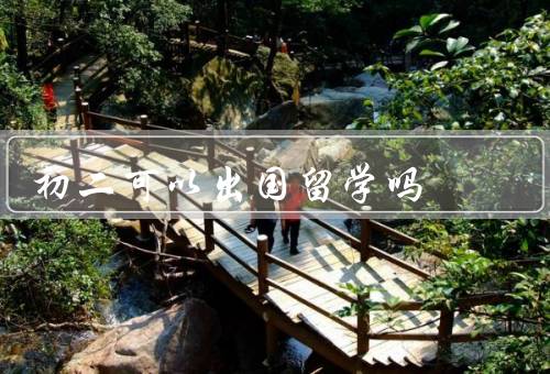 初二可以出国留学吗，出国留学的优势、初二出国留学的挑战