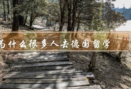 为什么很多人去德国留学，教育质量、就业前景、生活成本