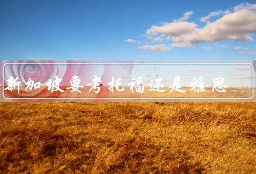 去新加坡要考托福还是雅思（新加坡留学的语言要求）