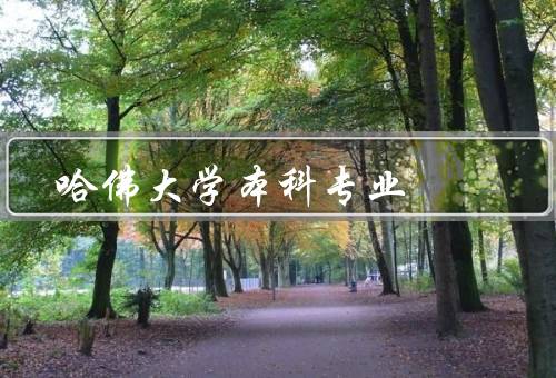 哈佛大学本科专业（经济学专业／计算机科学专业／心理学专业）