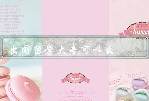 出国留学大专可以么（学术领域的拓展、语言能力的提升）