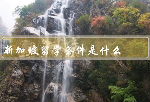 新加坡留学条件是什么