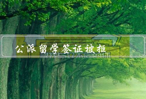 公派留学签证被拒