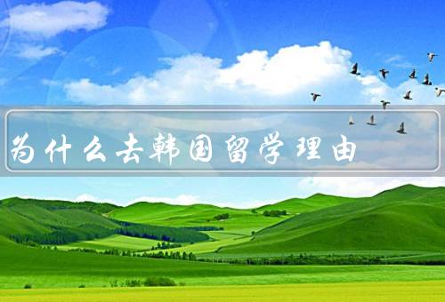 为什么去韩国留学理由，教育质量、文化吸引力、就业机会