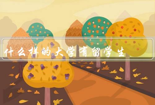 什么样的大学有留学生（国际化程度／学术声誉和排名）