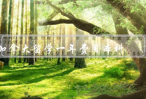 加拿大留学一年费用本科，组成／奖学金和助学金／降低