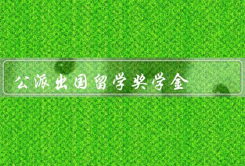 国家公派出国留学奖学金，意义、申请条件、具体内容