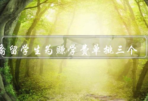 华裔留学生为赚学费单挑三个，家教、餐厅工作、网店销售