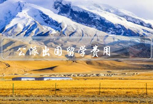 公派出国留学费用，包含内容／来源／管理与使用
